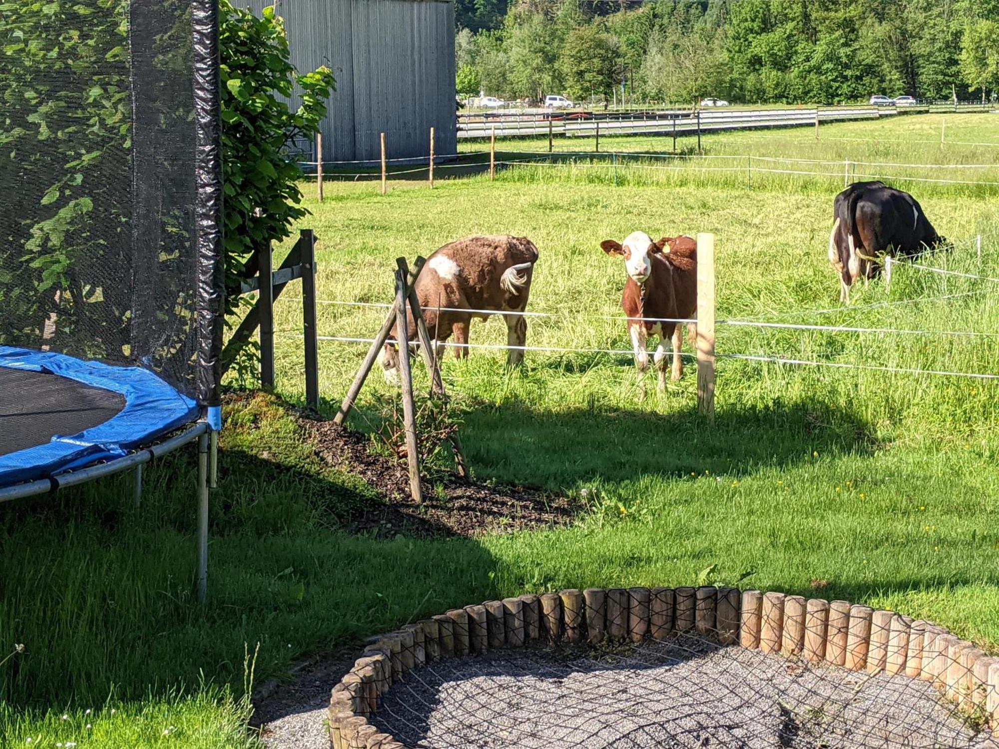 Ferienhaus Schwarzhans Schruns Kültér fotó